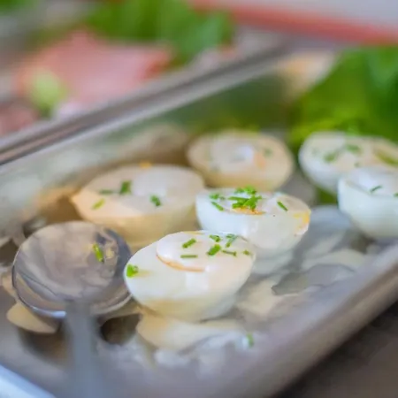 酒店 Karolek 扎沃亚