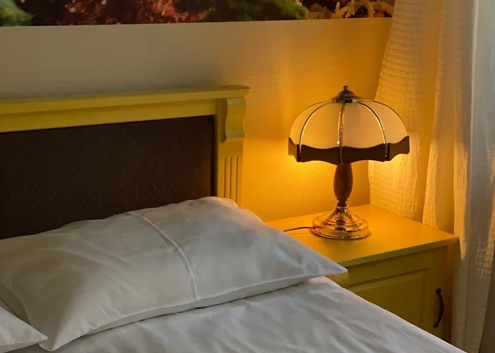 酒店 Karolek 扎沃亚